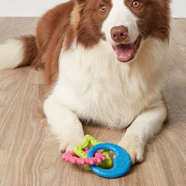 

1pc Link Ring Design Pet Chew Toy, Multicolor