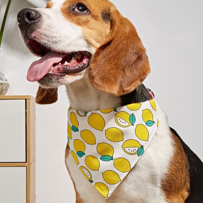 

Lemon Print Pet Bandana, Yellow