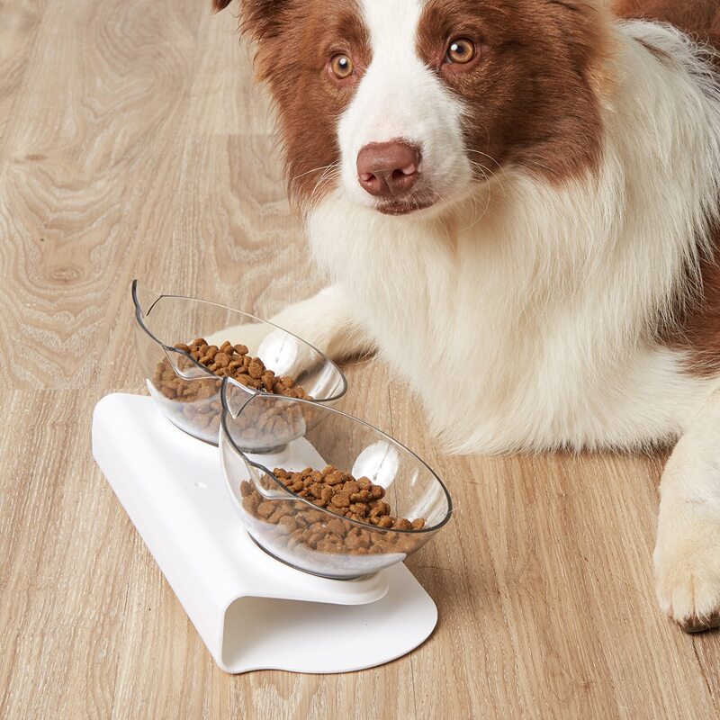 

1pc Double Pet Bowl, White