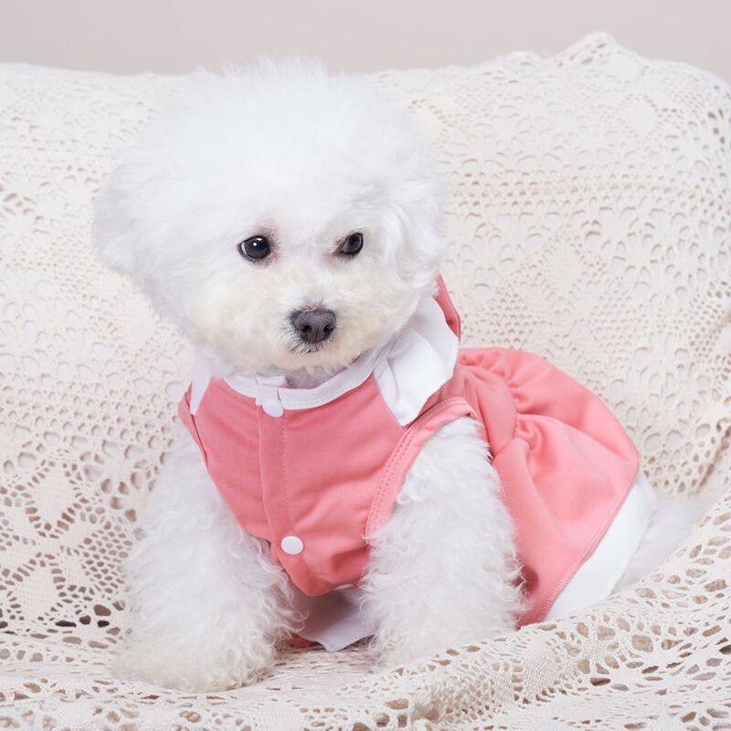 

Bow Decor Pet Dress, Pink