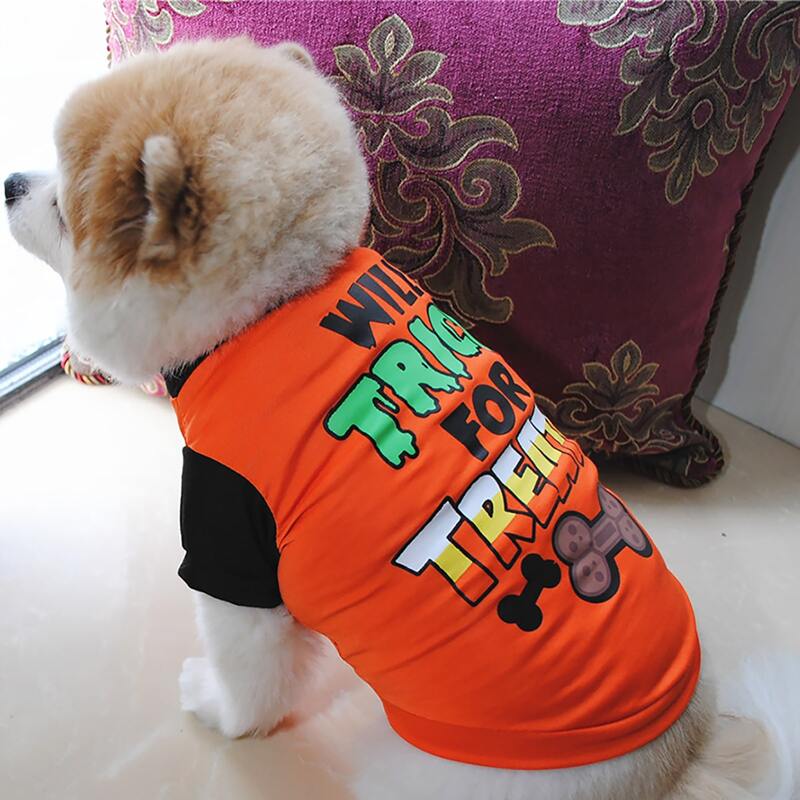 

Slogan Graphic Pet Tee, Orange