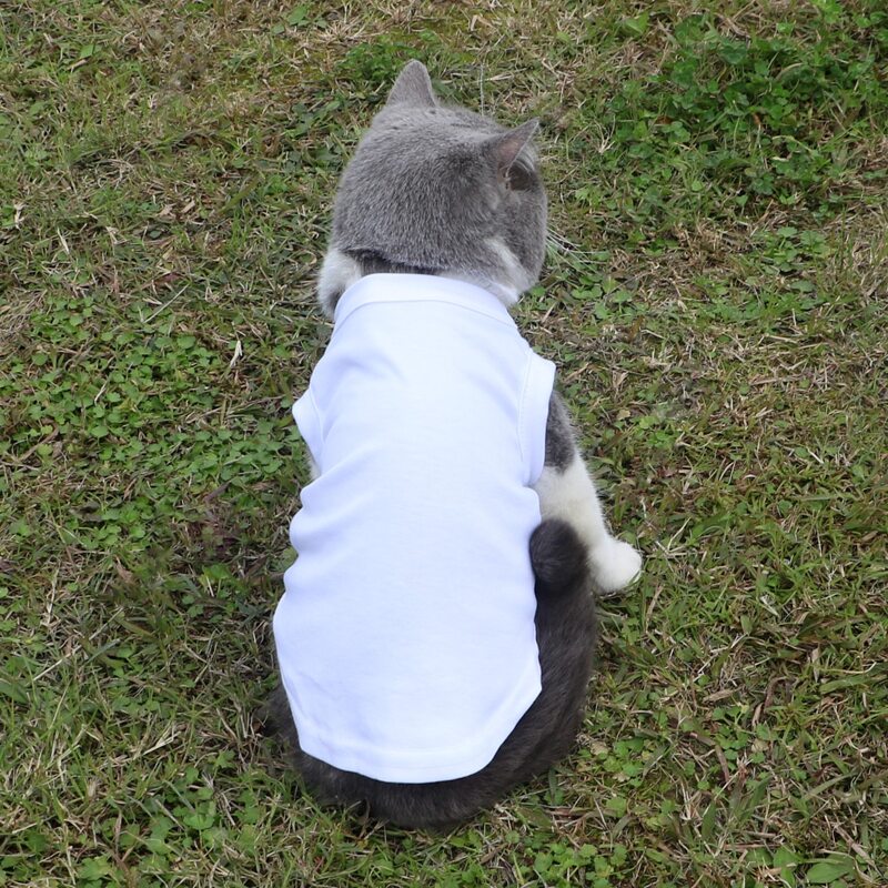 

Solid Color Pet Tank Top, White