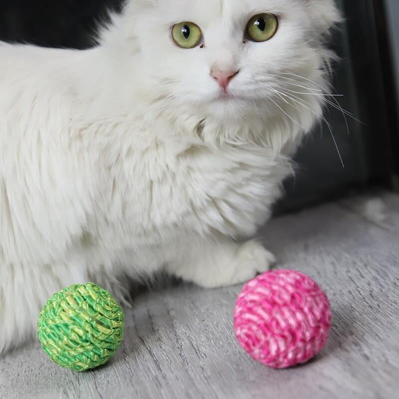 

2pcs Ball Shaped Pet Sound Toy, Multicolor