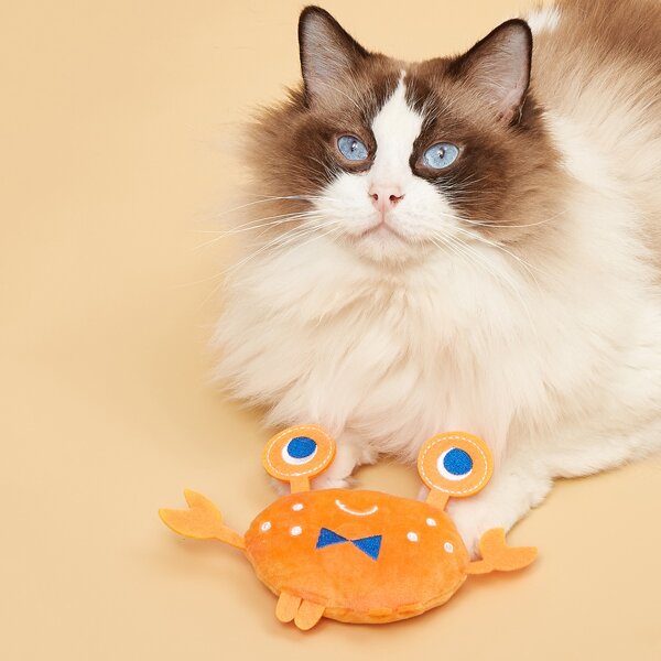 

1pc Plush Crab Pet Sound Toy, Orange