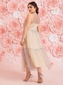 Modelyn Plus 1 PC Mesh Yoke Ruffle Hem Dress - Apricot - View 3