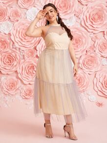 Modelyn Plus 1 PC Mesh Yoke Ruffle Hem Dress - Apricot - View 5