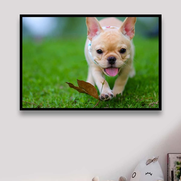 

Dog Pattern Diamond Painting Without Frame, Multicolor