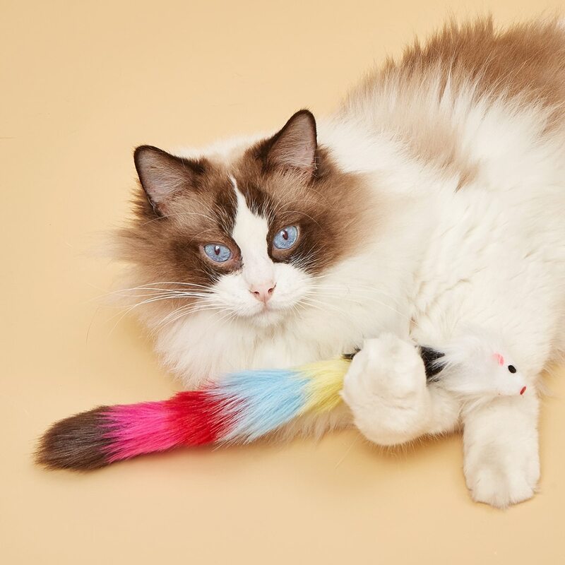 

1pc Rat Shaped Pet Plush Toy, Multicolor