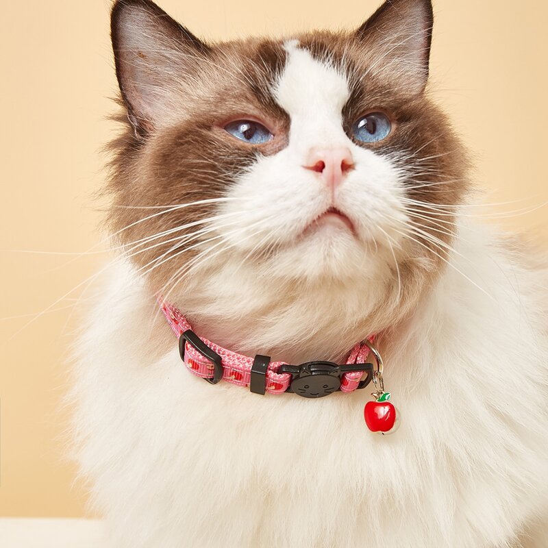 

1pc Apple Print Pet Collar, Pink
