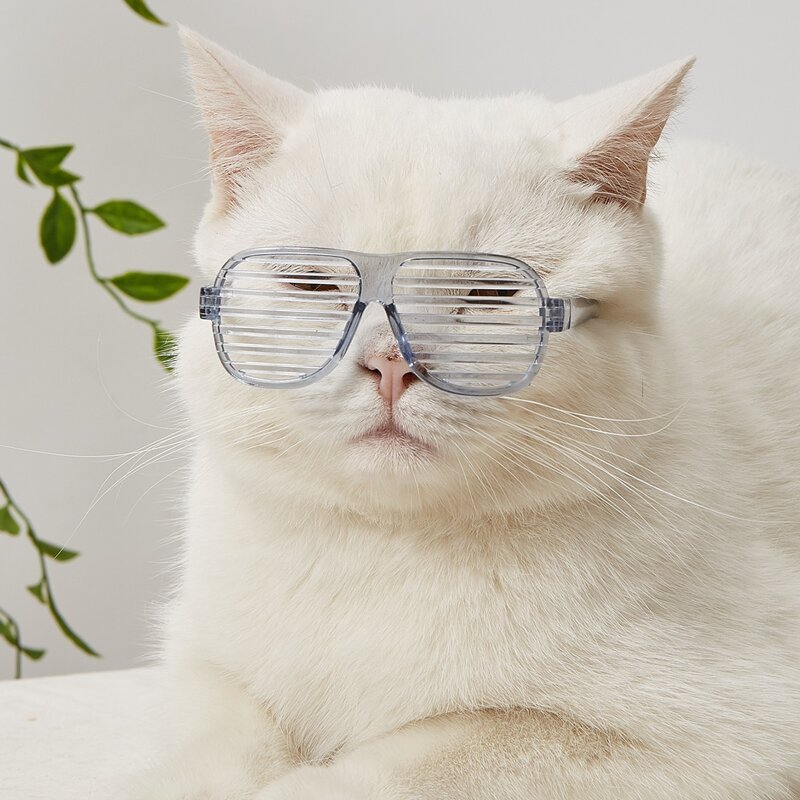

1pair Hollow Lens Pet Glasses, Baby blue