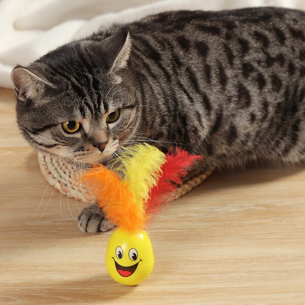

1pc Random Tumbler Design Cat Teaser Toy, Multicolor