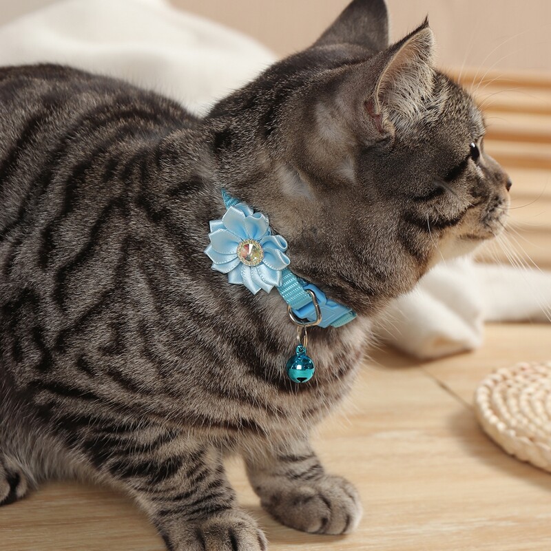 

1pc Flower Decor Pet Collar, Blue