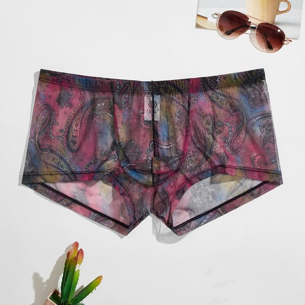 

Men Paisley Print Sheer Mesh Boxer Brief, Multicolor