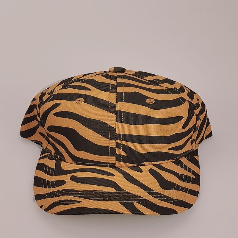 

Zebra Striped Baseball Cap, Multicolor