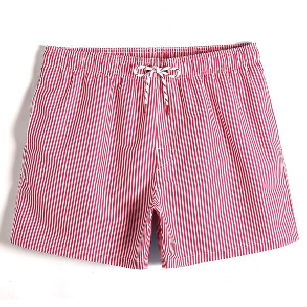 

Men 2pcs Pinstriped Drawstring Swim Trunks, Multicolor