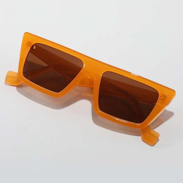 

Tinted Lens Sunglasses