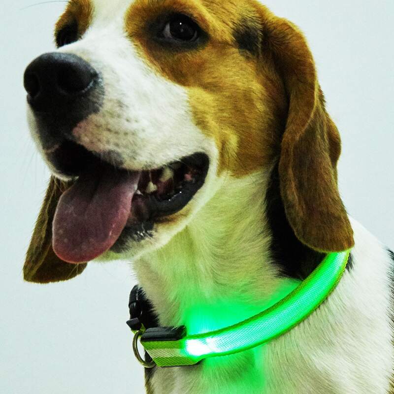 

LED Light Buckle Pet Collar With Battery, Green