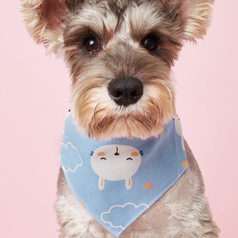 

Cartoon Graphic Pet Scarf, Blue