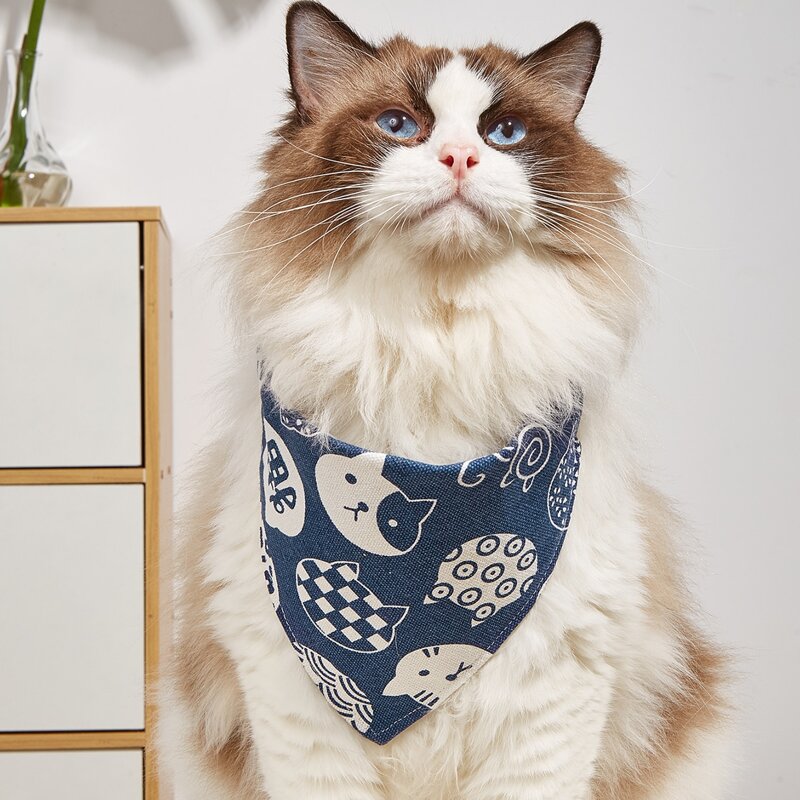 

Cartoon Graphic Pet Scarf, Blue