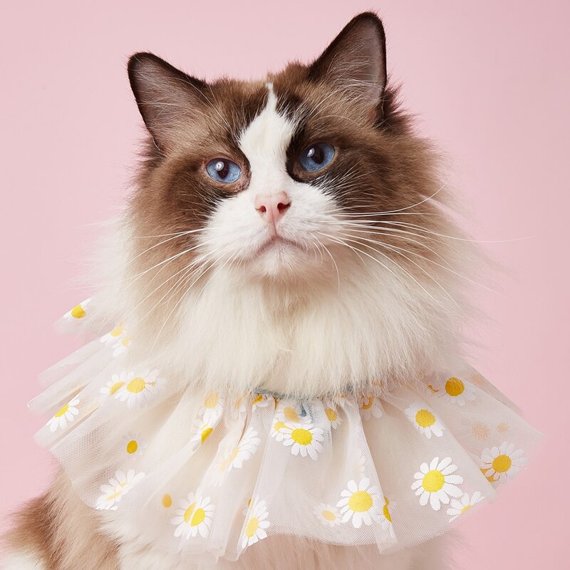 

Daisy Embroidery Pet Scarf, Multicolor