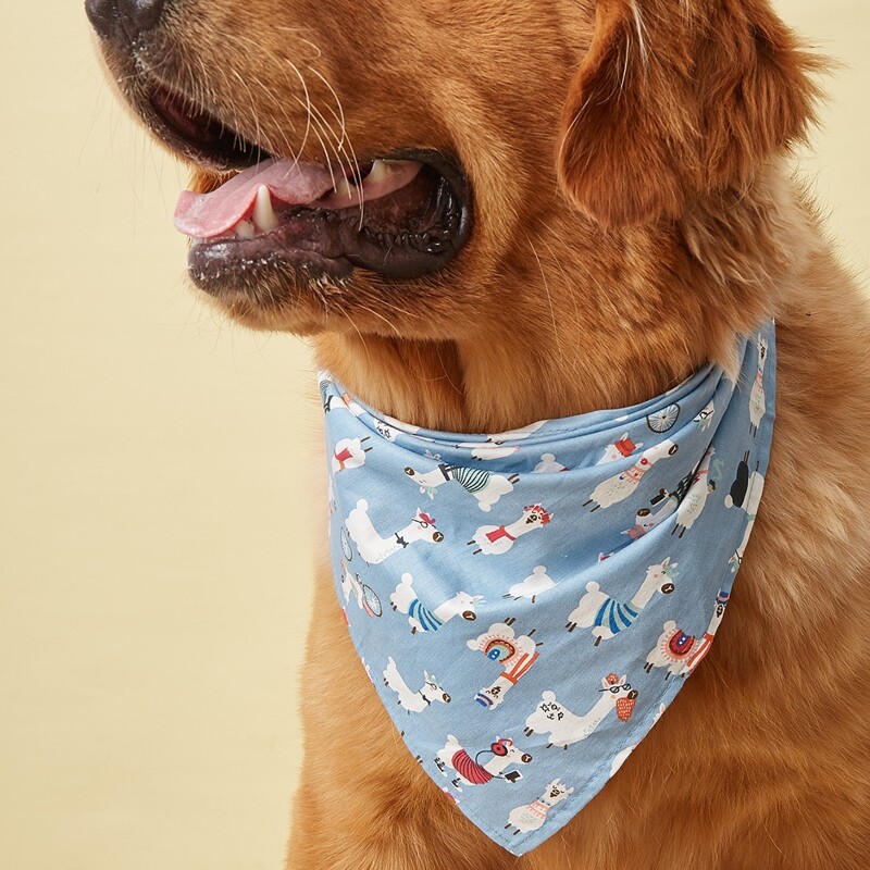 

Cartoon Graphic Pet Bandana, Blue