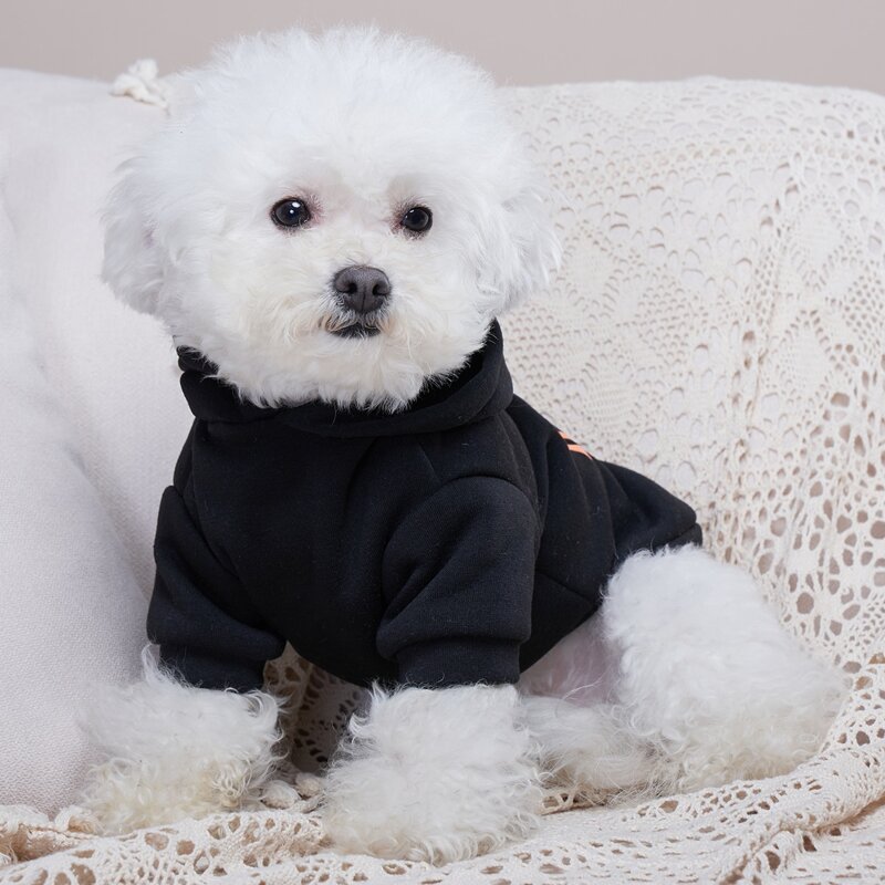 

Slogan Graphic Pet Hoodie, Black