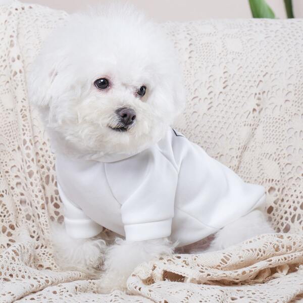 

Letter Graphic Pet Sweatshirt, White