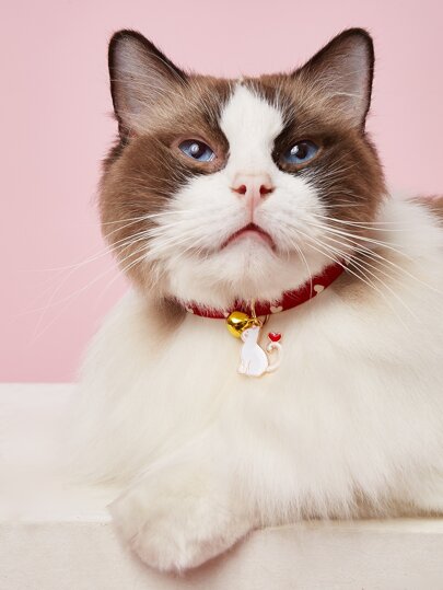 قلادة حيوان اليف بتعليقة قط قطعة واحدة