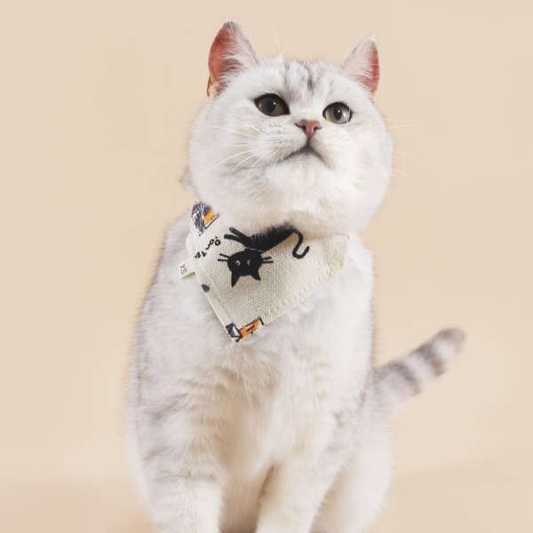 

Cat Print Pet Bandana, Multicolor