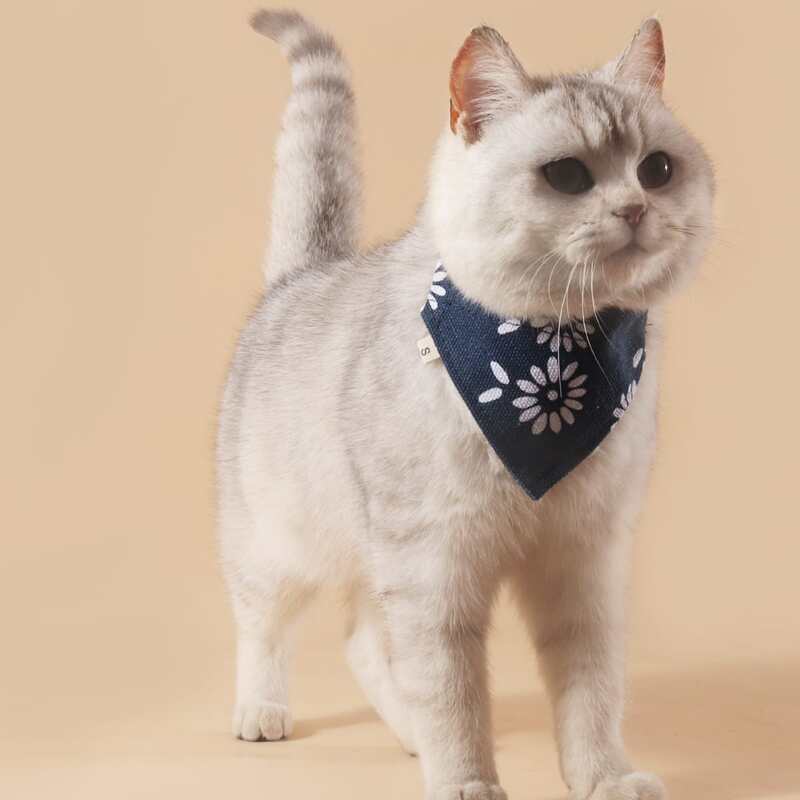 

Flower Print Pet Bandana, Multicolor