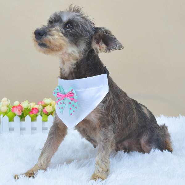 

Bow Decor Pet Bandana, Multicolor