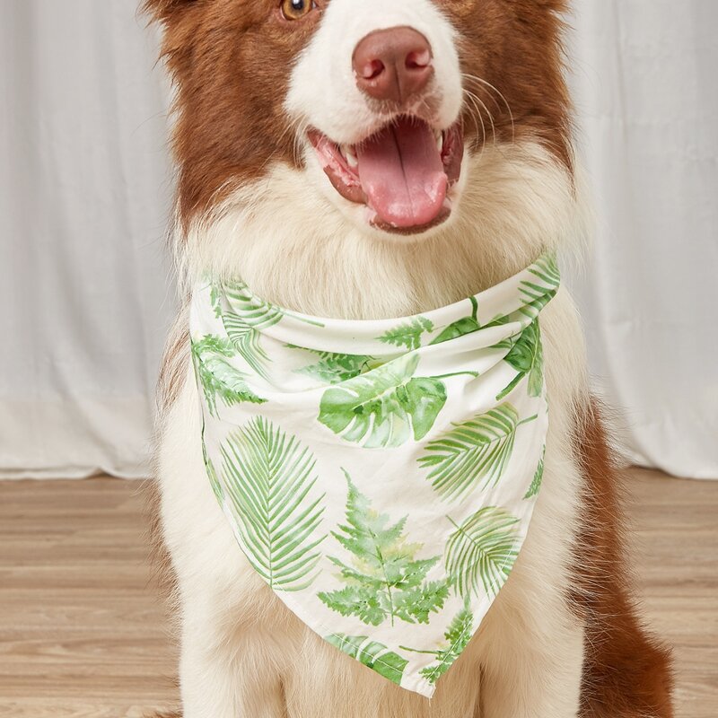 

Leaf Print Pet Bandana, Green