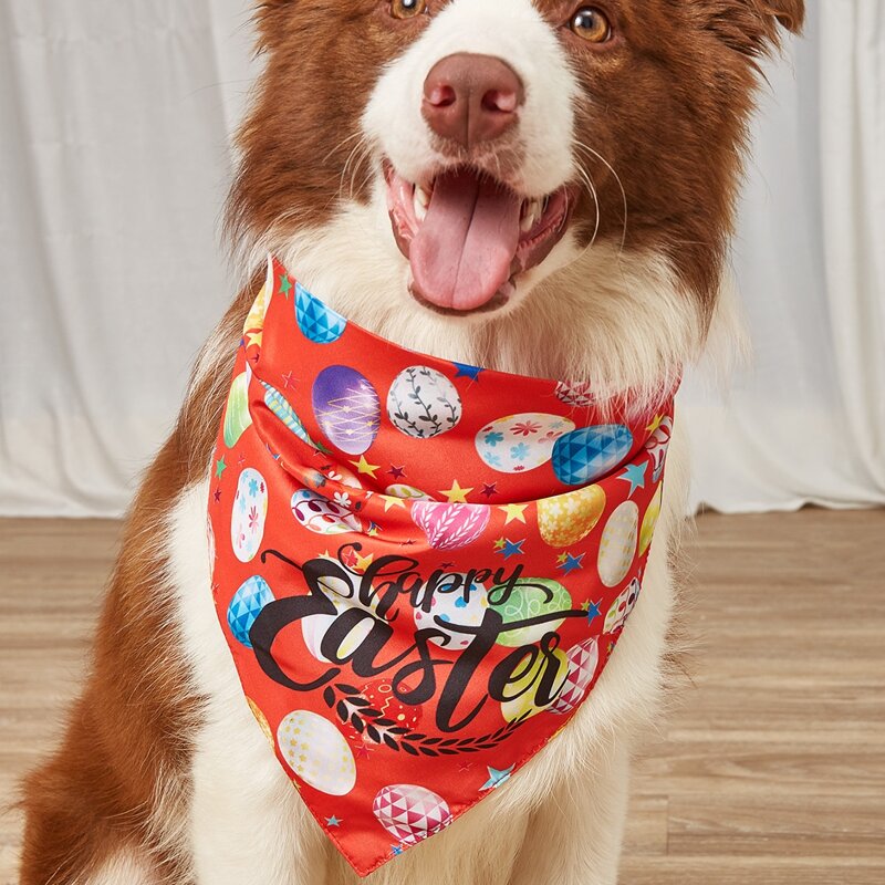 

Easter Egg Print Pet Bandana, Red