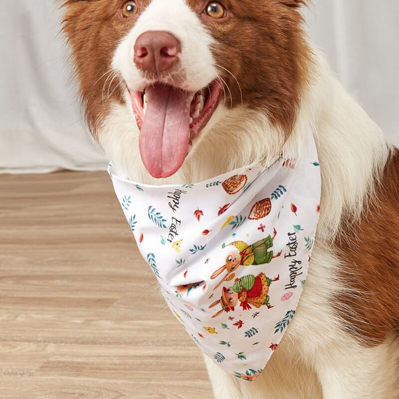 

Easter Rabbit Print Pet Bandana, White