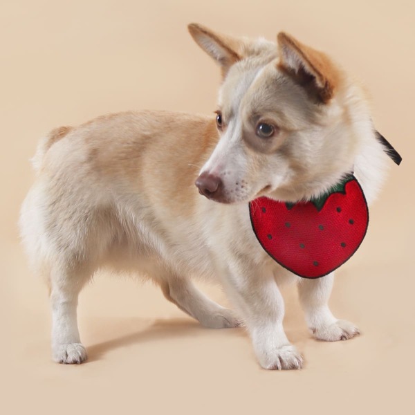 

Strawberry Design Pet Bandana, Red