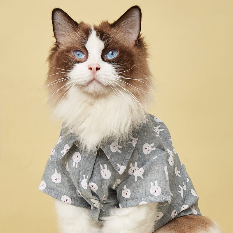 

Rabbit Print Easter Pet Shirt, Grey