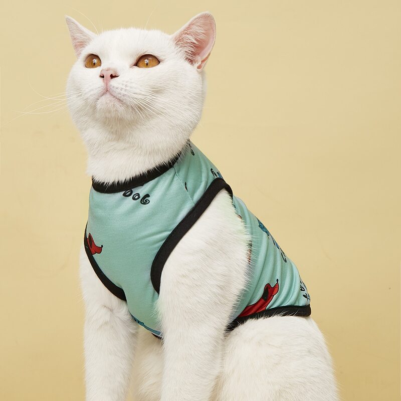 

Cartoon Graphic Pet Tank Top, Green
