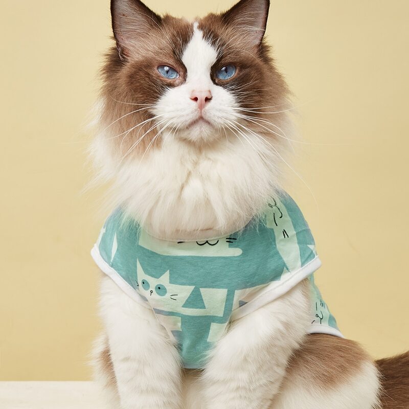 

Cartoon Graphic Pet Tank Top, Blue