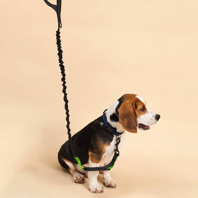 

1pc Elastic Pet Leash, Green