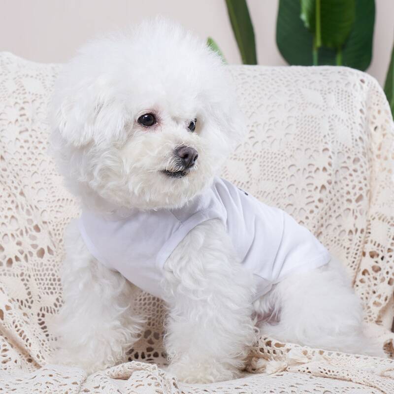 

Letter Graphic Pet Tank Top, White