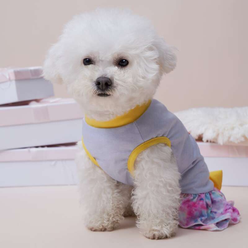 

Pineapple Print Pet Dress, Multicolor