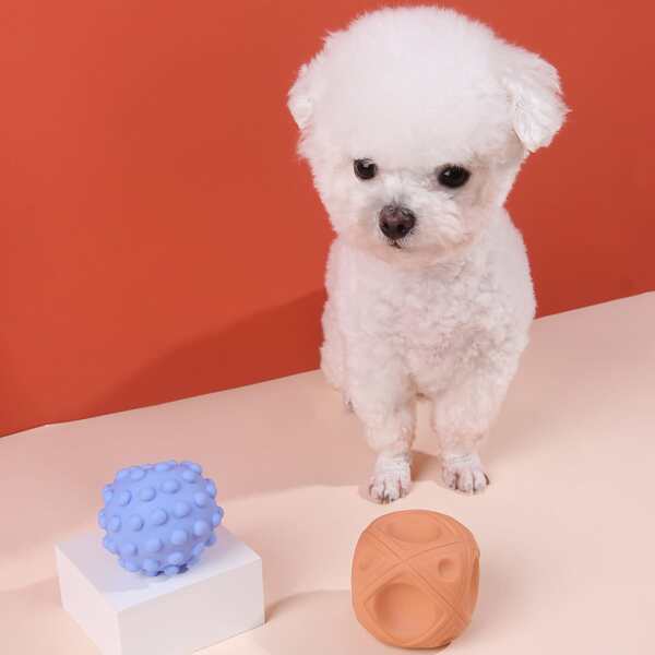

2pcs Silicone Pet Sound Toy Ball Set, Multicolor