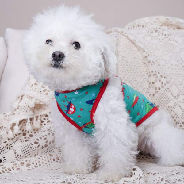 

Cartoon Graphic Pet Tank Top, Multicolor