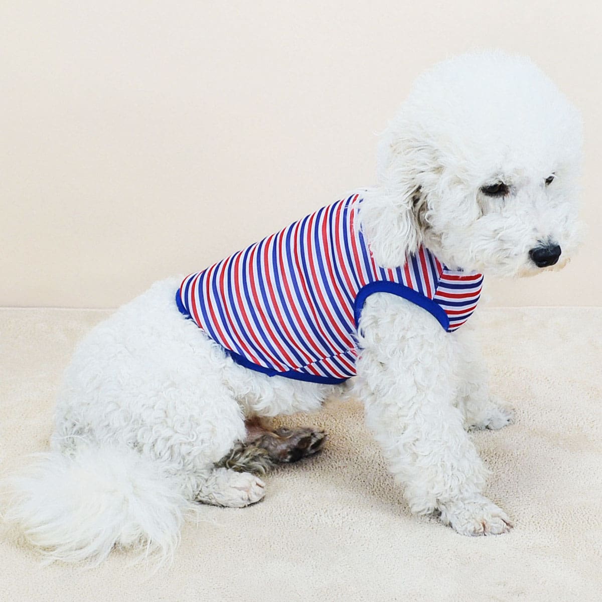 

Striped Pattern Pet Tank, Multicolor