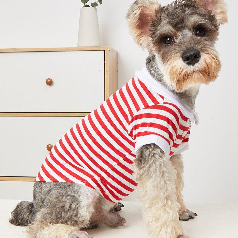 

Striped Pattern Pet Tee, Red and white