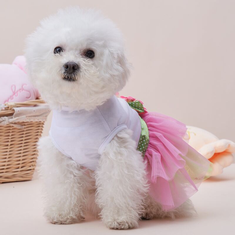 

Flower Detail Pet Dress, Multicolor
