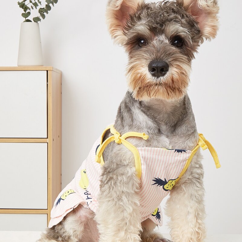 

Fruit Print Pet Dress, Pink