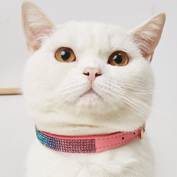 

Rhinestone Detail Pet Collar, Pink