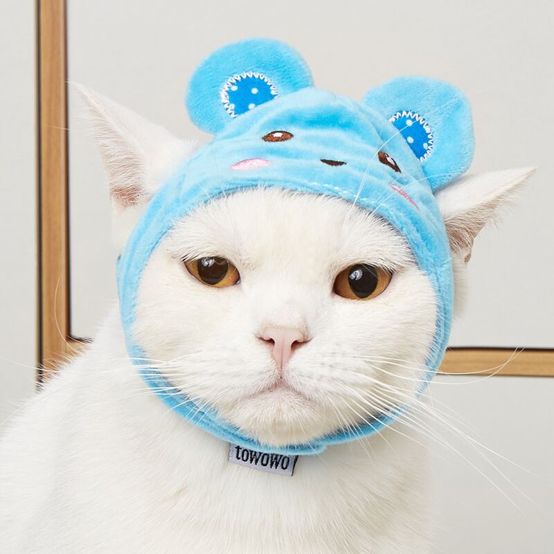 

Bear Design Pet Hat, Blue