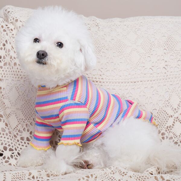

Striped Pattern Pet Tee, Multicolor